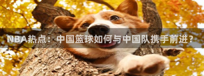 NBA热点：中国篮球如何与中国队携手前进？