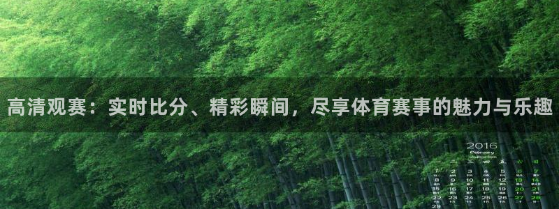 高清观赛：实时比分、精彩瞬间，尽享体育赛事的魅力与乐趣