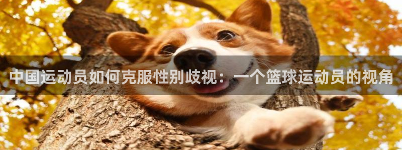 中国运动员如何克服性别歧视：一个篮球运动员的视角